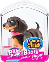  Cachorro Da...