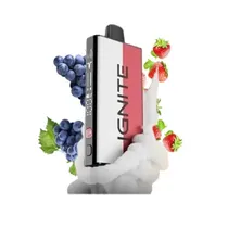  Ignite V400...