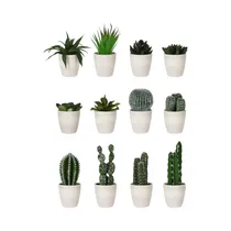  Cactus Arti...