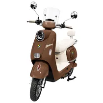  Mini Moto E...