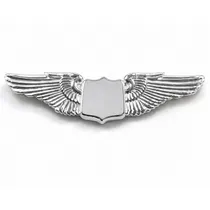 Wings Pilot...