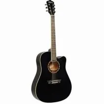  Washburn Vi...