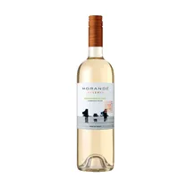  Vino Morand...