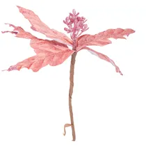  Flor Natali...
