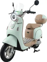 Moto Elétrica Smart Wheel Cappuccino 48V 20AH 800W 32KM/H Green
