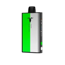 Ignite V-Mix 40K Mighty Melon + Menthol 40000 Puffs