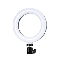  Mini LED Il...