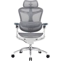 Cadeira de Escritório Ergonômica Sihoo C300-B102 6D com Suporte Lombar Dinâmico - Branco