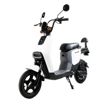 Moto Electri...
