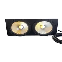 Brut 2X100W...
