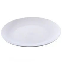  Plato de Po...