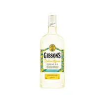  Gin Gibson'...