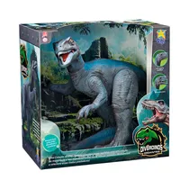  Figura de D...