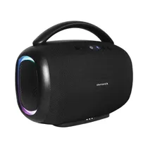 Speaker Aiwa AW-F213 Black