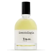  Tester Scen...