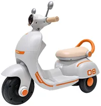 Triciclo Elé...