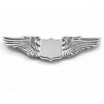 Wings Pilot ...