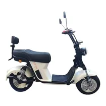 Moto Eléctri...