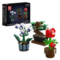  Brinquedo d...