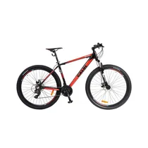  Bicicleta C...