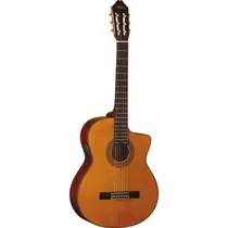  Washburn C6...