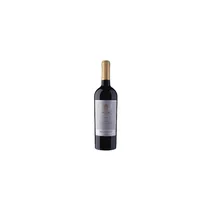  Errazuriz T...