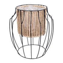  Vaso com Su...