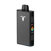 Ignite V250 Black Menthol 25.000 Puffs