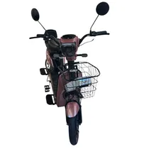Moto Eletrica WB Electric JY 500W