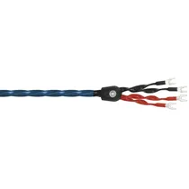  Wireworld O...