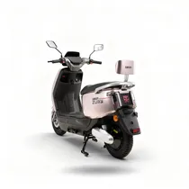 Motocicleta Eléctrica Bluhan T-N80 Pro 1000W