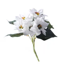  Flor Natali...