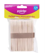  Pointer Pal...